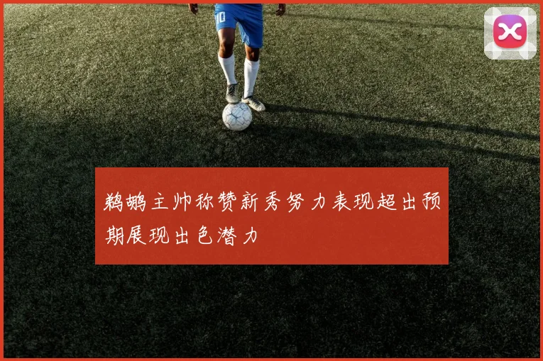 鹈鹕主帅称赞新秀努力表现超出预期展现出色潜力