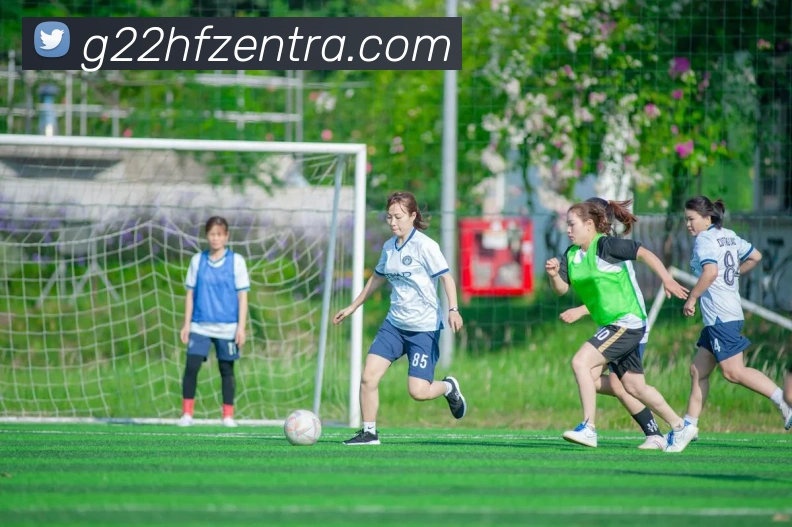 G22恒峰平台生态图